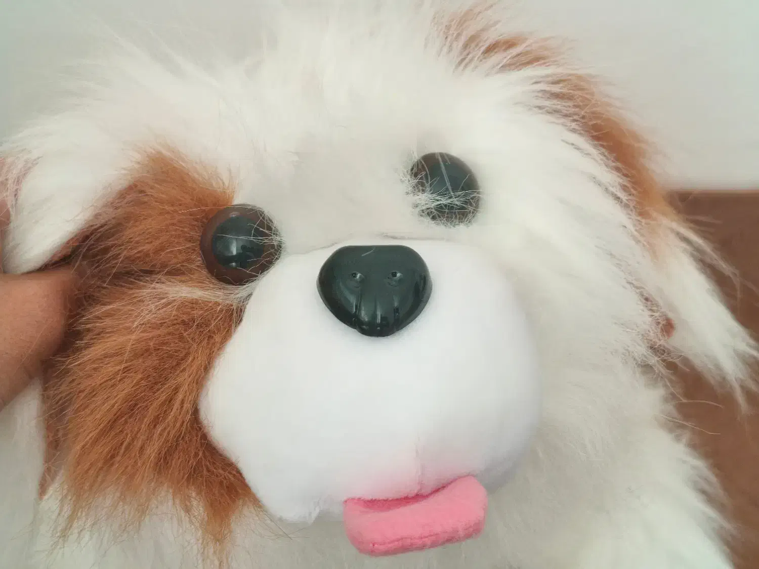 عروسک سگ بامزه|اسباب‌‌بازی|خوی, |دیوار