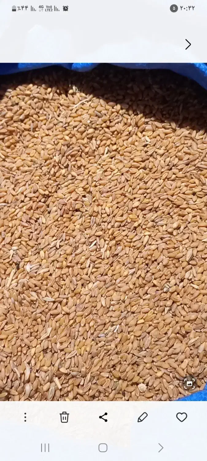 کود اوره|حراج|آباده, |دیوار