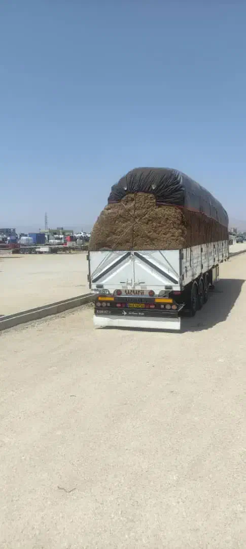 کاه مخصوص همه حیوانات|لوازم جانبی حیوانات|ماهان, |دیوار