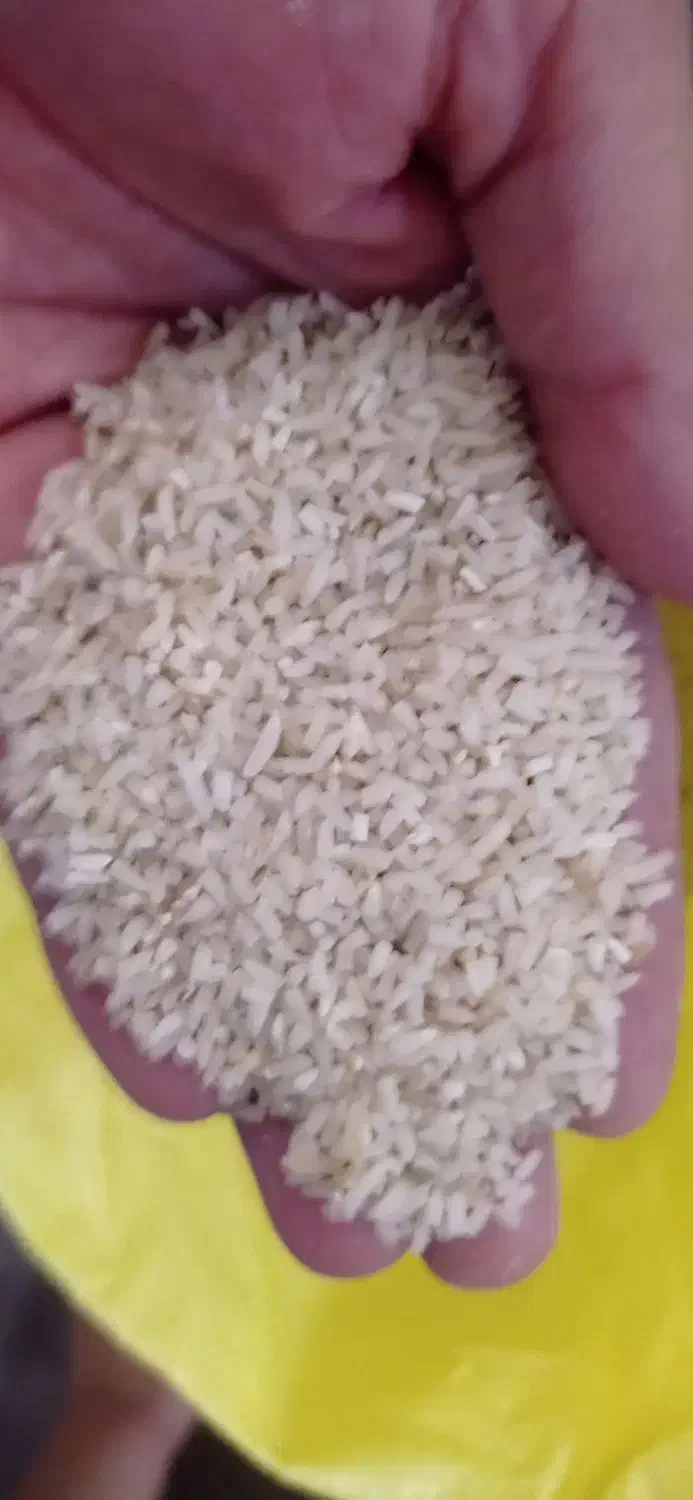 گردو وبرنج کلات|خوردنی و آشامیدنی|تربت‌حیدریه, نواب صفوی|دیوار