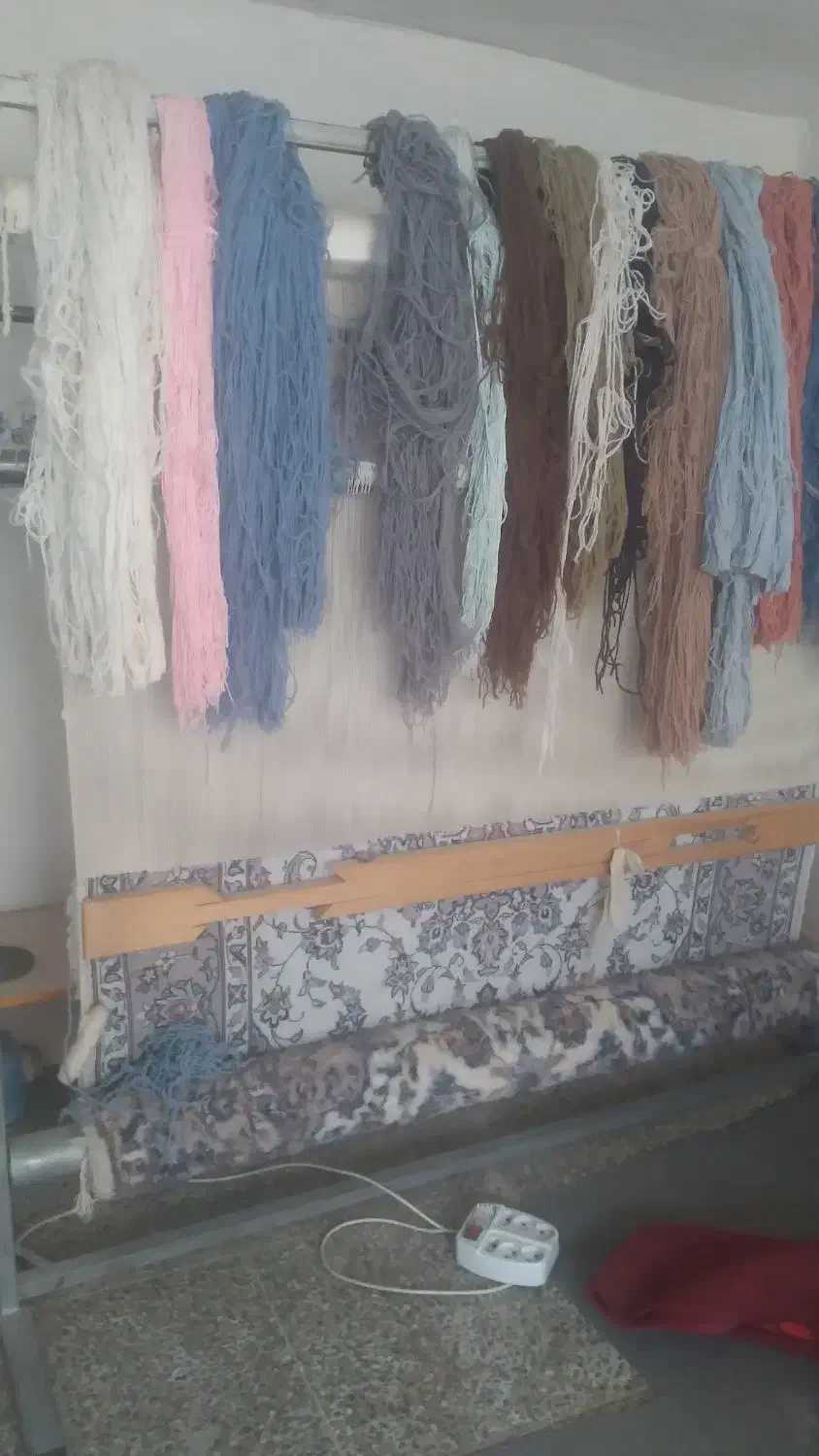 قالی|فرش|یزد, |دیوار