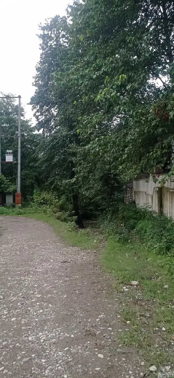 400متر زمین با جواز 6طبقه آپارتمانی آرا متل قو|فروش خانه و ویلا|سلمان‌شهر, |دیوار