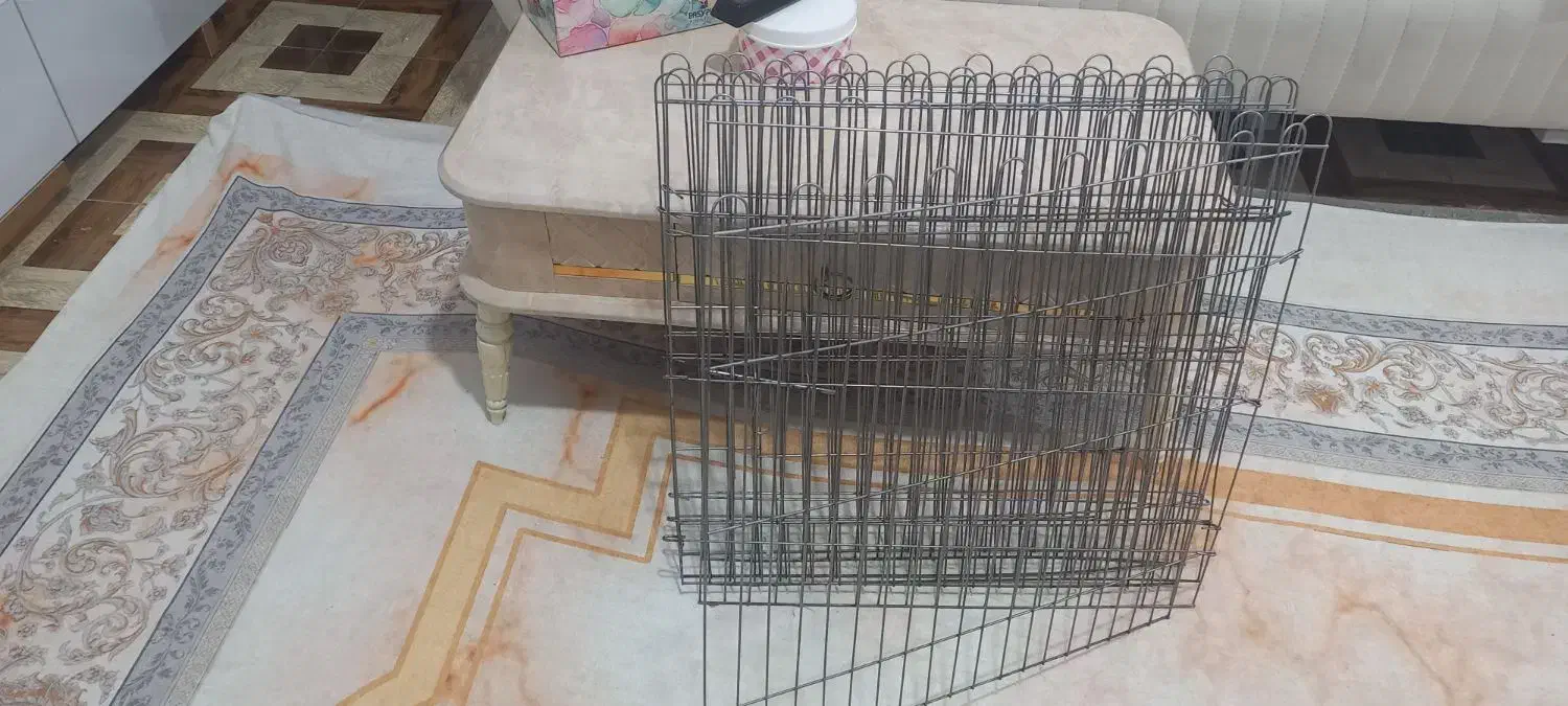 پارک سگ نو|لوازم جانبی حیوانات|رشت, رشتیان|دیوار