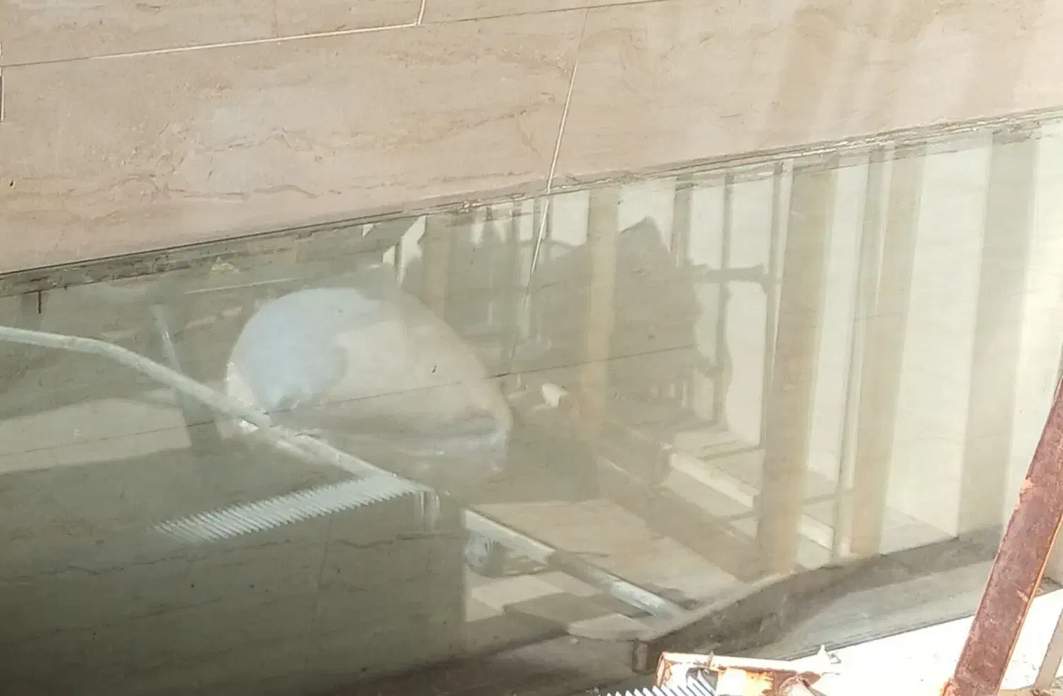 شیشه ۳میل ۱۶۰در۶۰|حراج|سیرجان, |دیوار