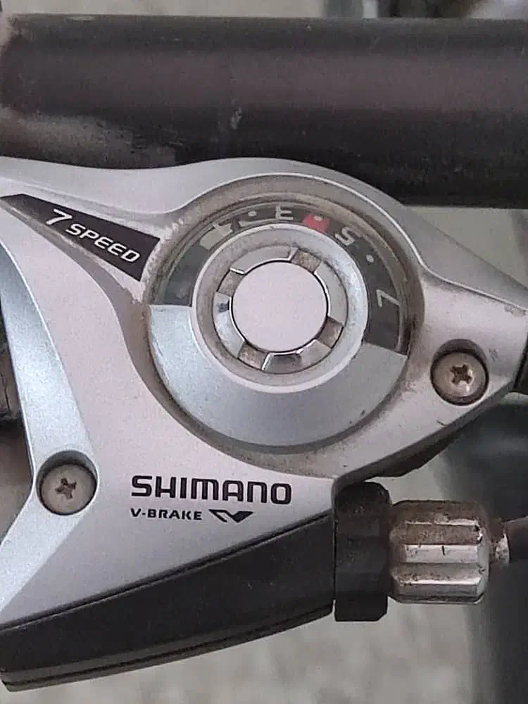 دوچرخه دنده ای|دوچرخه، اسکیت، اسکوتر|پردیس, فاز ۲|دیوار