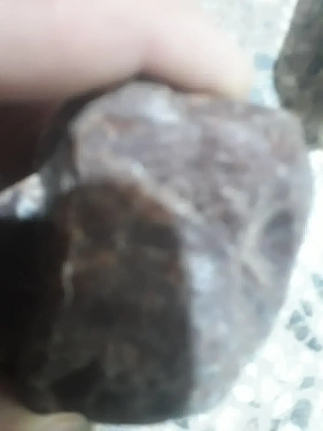 فروش انواع شهابسنگ کمیاب و اصل|جواهرات|زرند, |دیوار