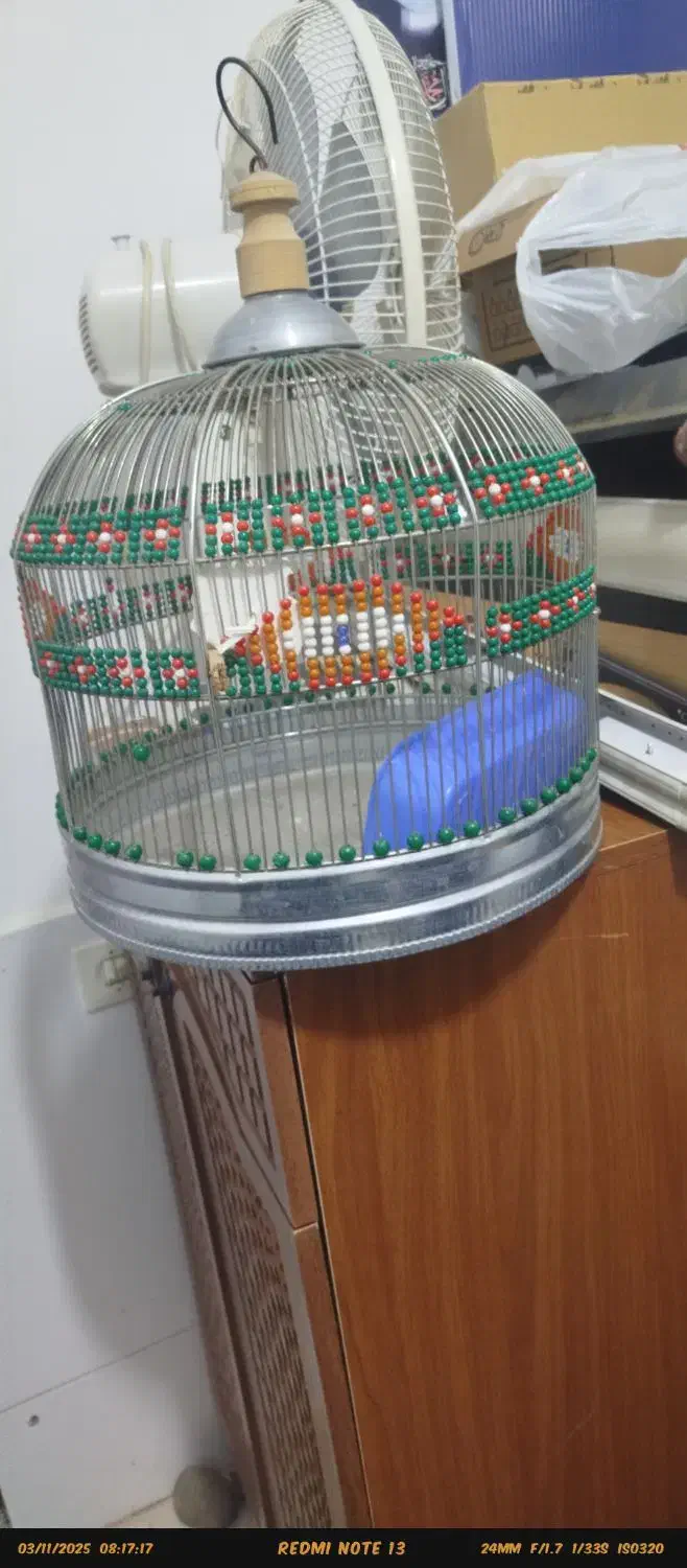 قفس پرنده نو و تمیز|لوازم جانبی حیوانات|ساری, |دیوار