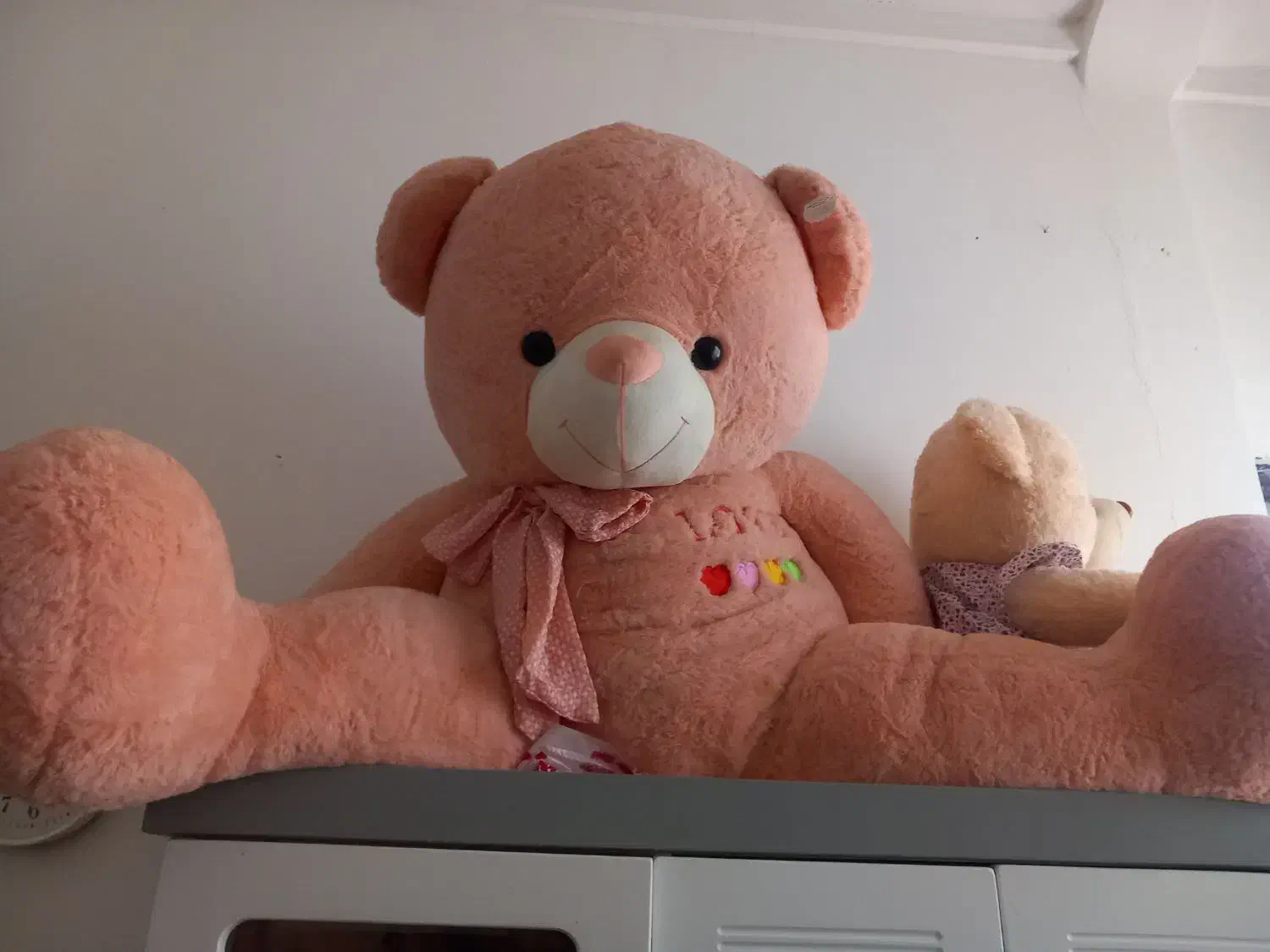 عروسک خرس|اسباببازی|الوند, |دیوار