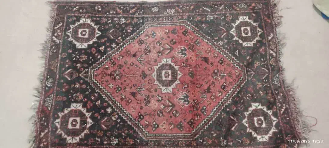 فرش دستباف|فرش|شیراز, کوشک میدان|دیوار