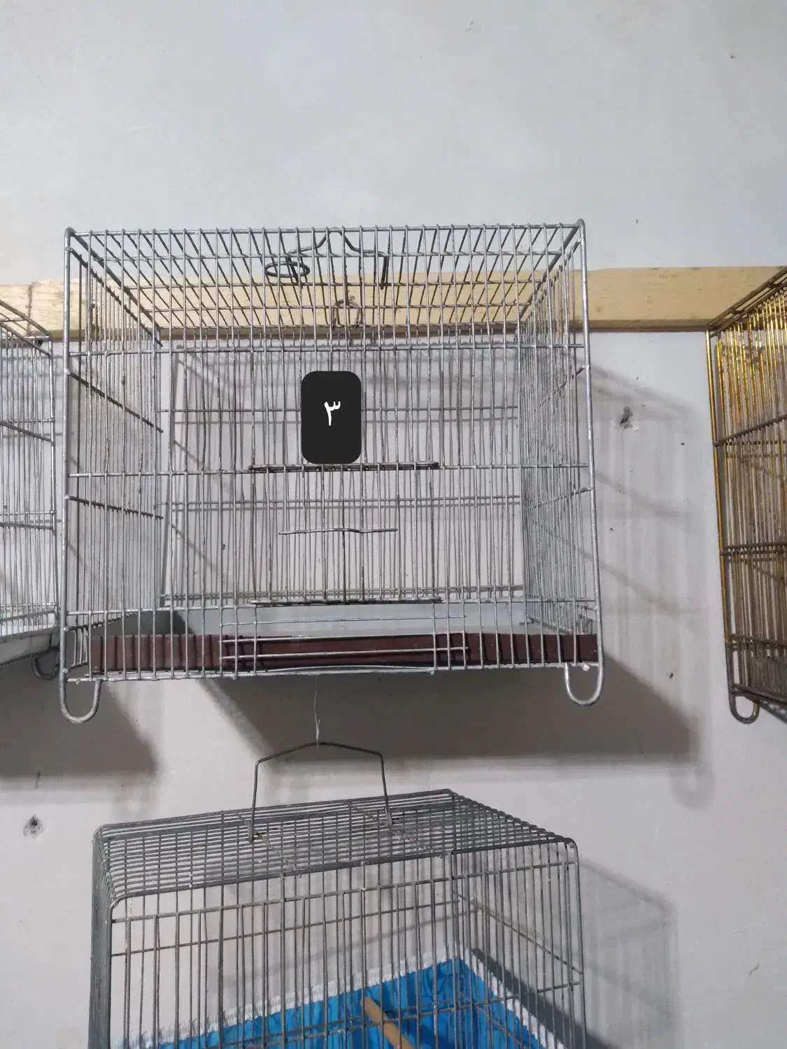 قفس سهره|لوازم جانبی حیوانات|رشت, نخودچر|دیوار
