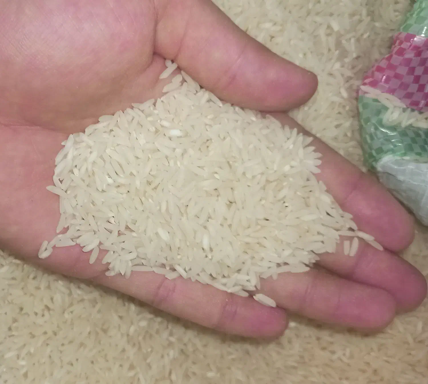 برنج هاشمی درجه 1|خوردنی و آشامیدنی|رشت, حومه رشت|دیوار