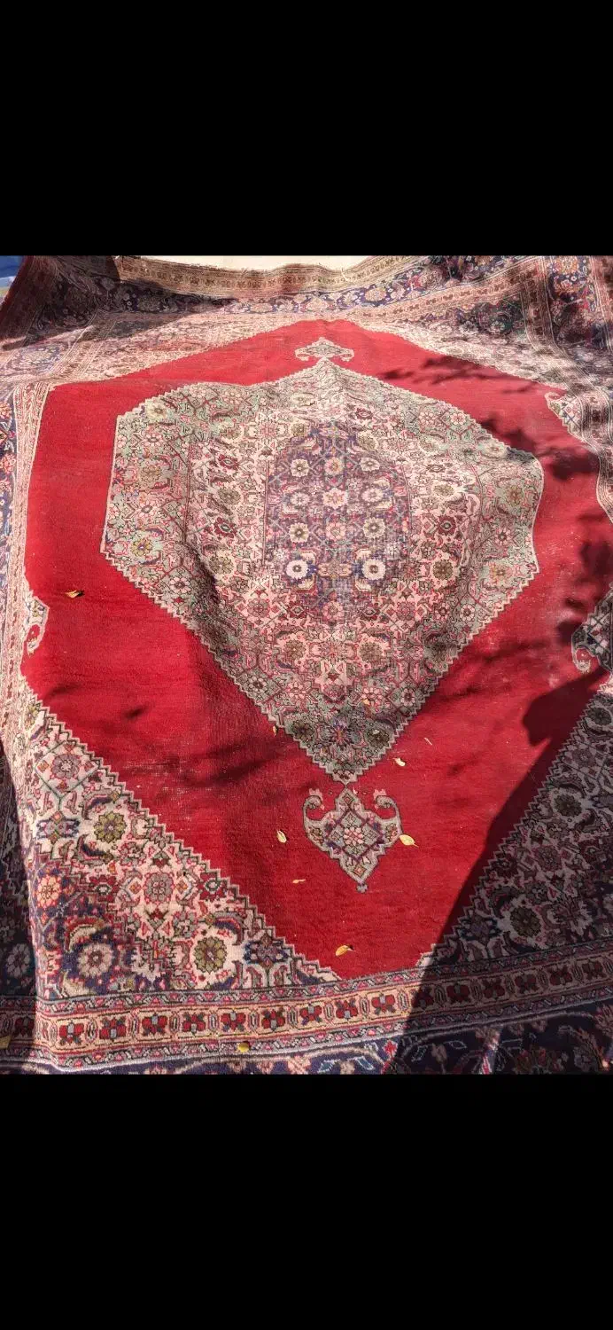 فرش دستبافت|فرش|شوط, |دیوار