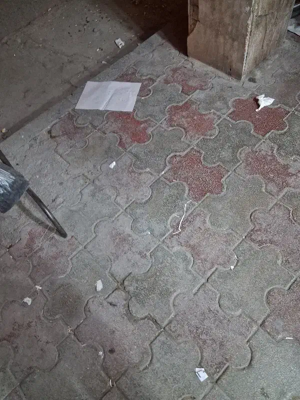 طلا گم شده|اشیا|بندر ماهشهر, |دیوار