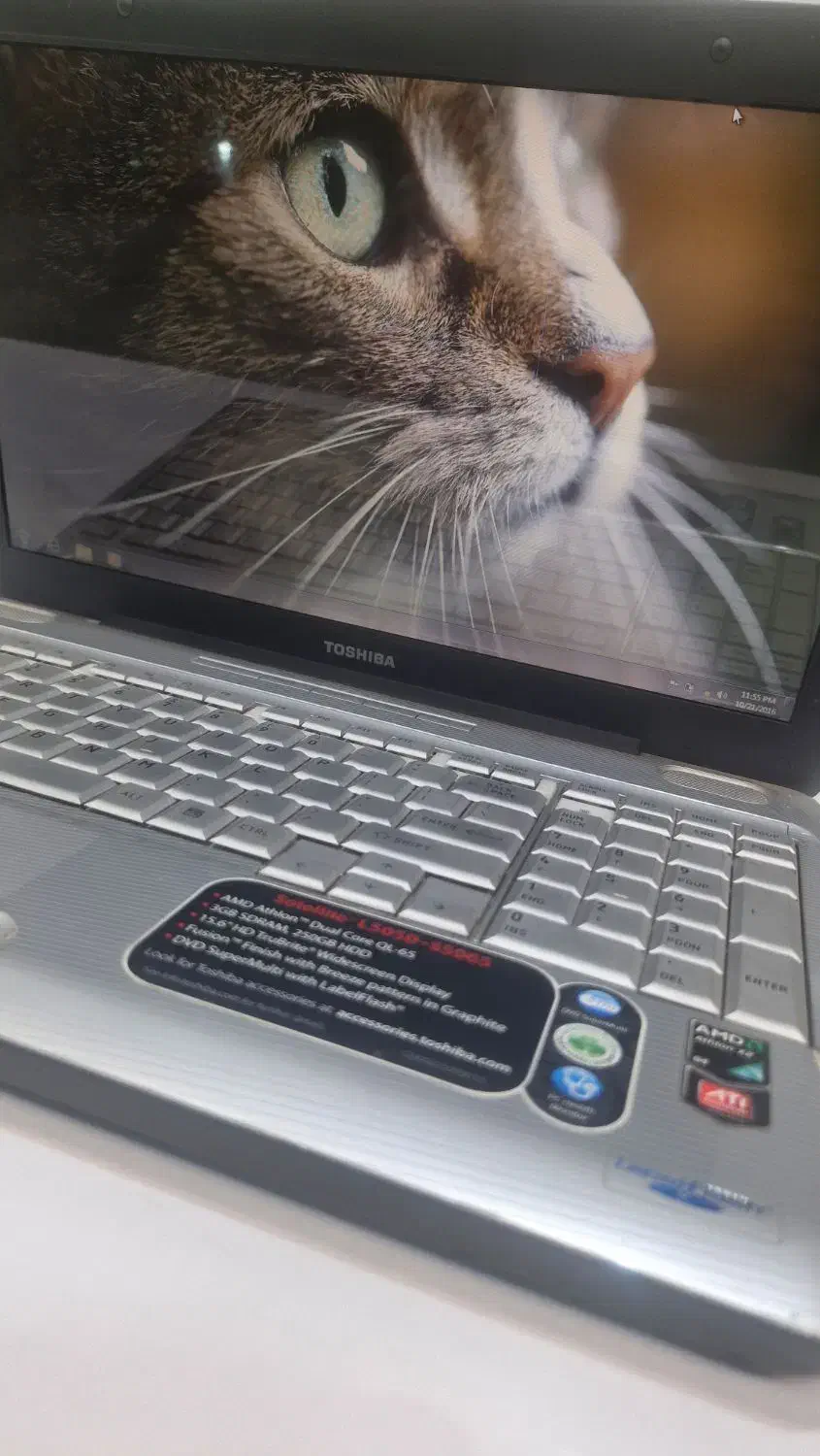 لپتاپ شیک فقط6/900|رایانه همراه|مشهد, عامل|دیوار