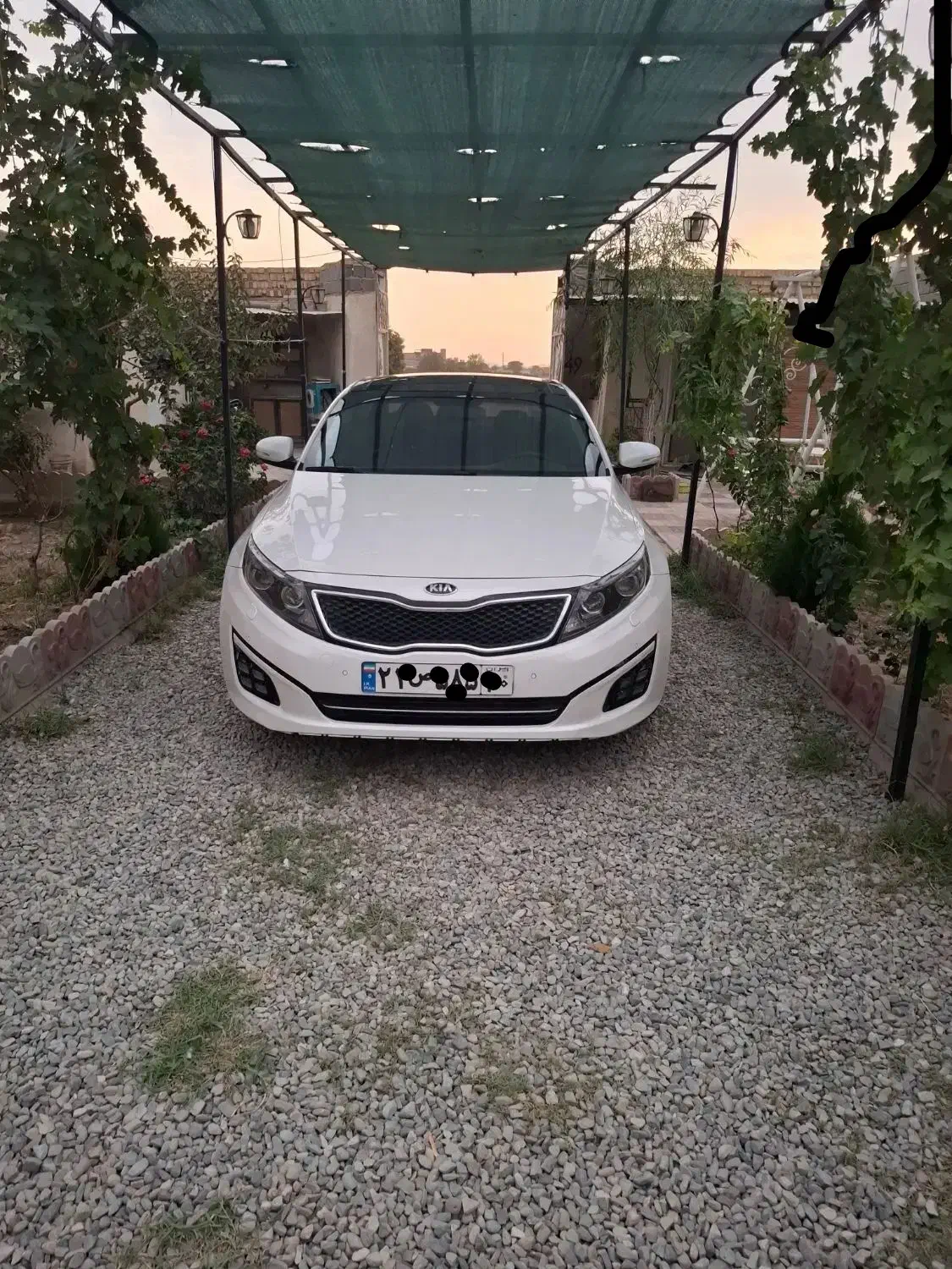 پولیش سرامیک دیتیلنگ تیونینگ پارسا|خدمات موتور و ماشین|شهریار, شهریار|دیوار