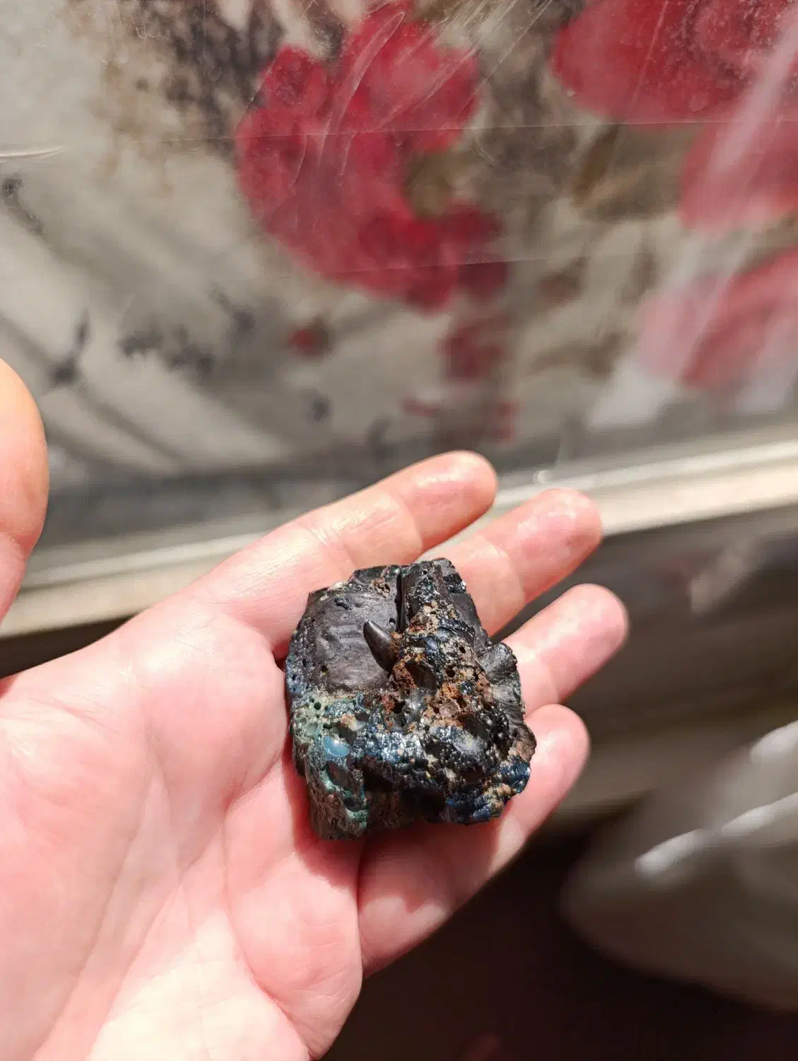 شهاب سنگ|کلکسیون اشیاء عتیقه|تبریز, |دیوار