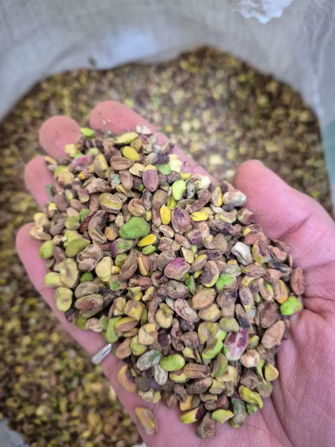 مغز پسته شیر پسته و بستنی|خوردنی و آشامیدنی|تهران, هروی|دیوار