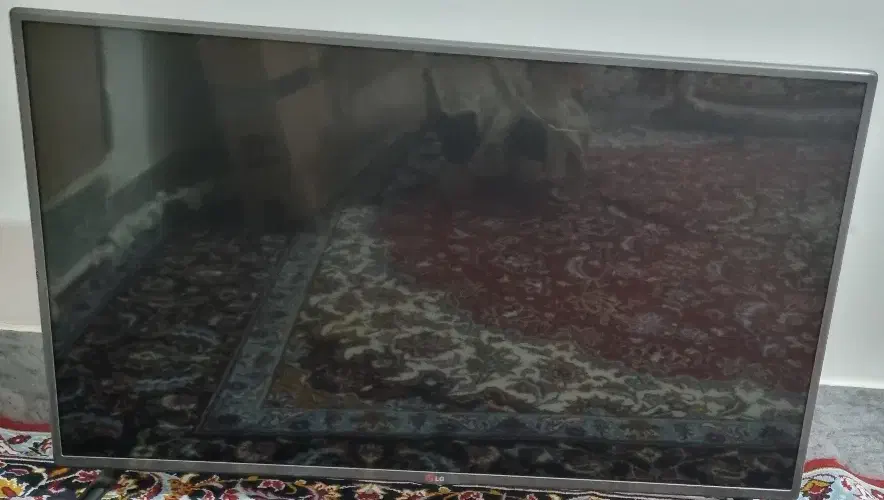 تلویزیون|تلویزیون و پروژکتور|الشتر, |دیوار