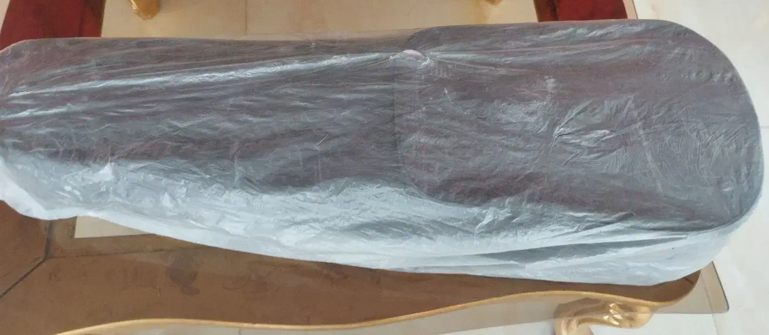 ویولون ۲/۴ مارک هافنر|ویولن|اصفهان, بهارستان|دیوار