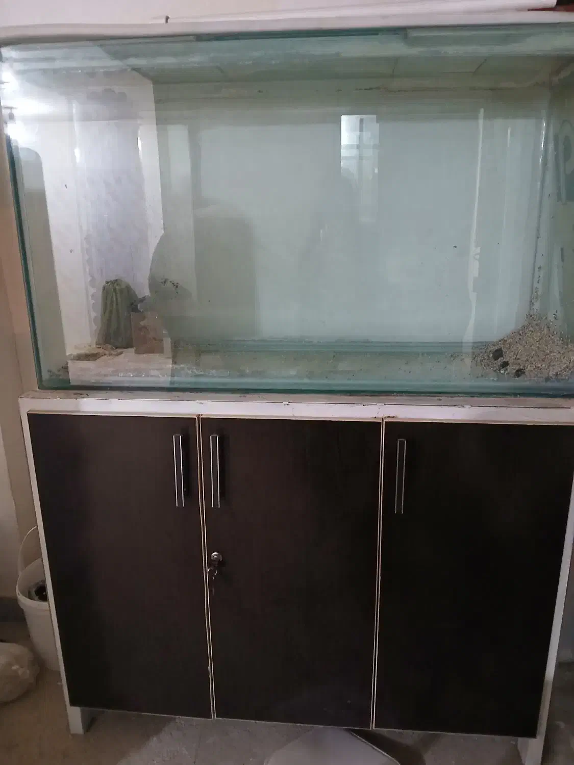 اکواریوم|ماهی|تویسرکان, |دیوار