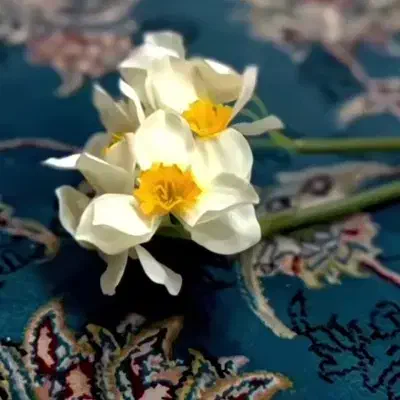 تدریس خصوصی دروس ابتدایی و متوسطه اول|خدمات آموزشی|ملایر, |دیوار