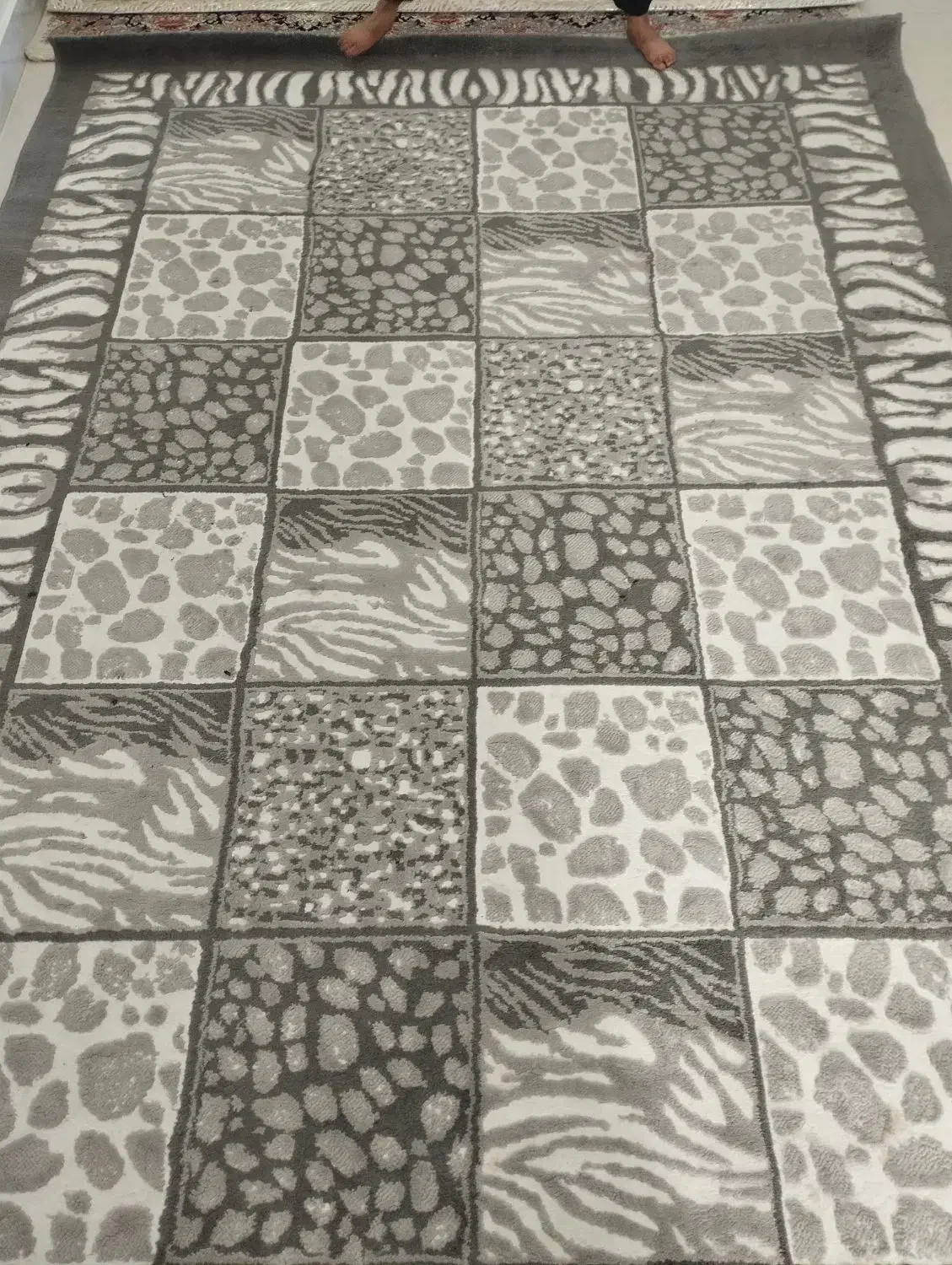 گلیم فرش ۶ متری|گلیم، جاجیم، گبه|کوهدشت, |دیوار