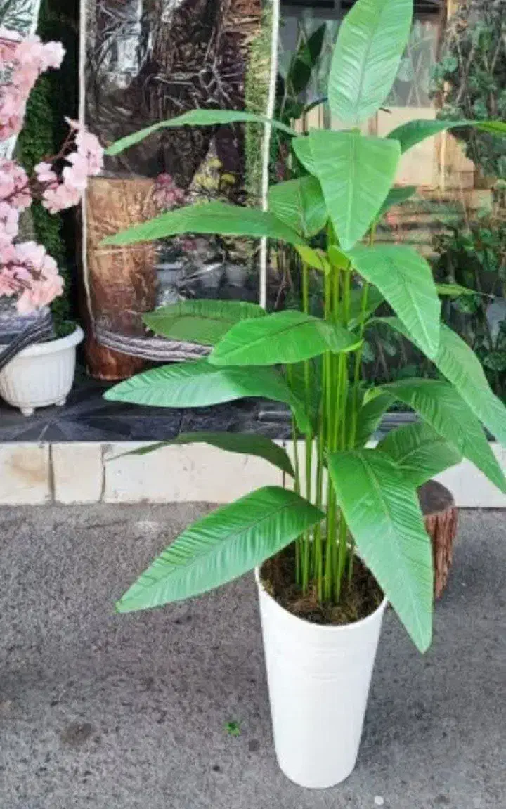 درختچه  مصنوعی|گل مصنوعی|ساوه, |دیوار