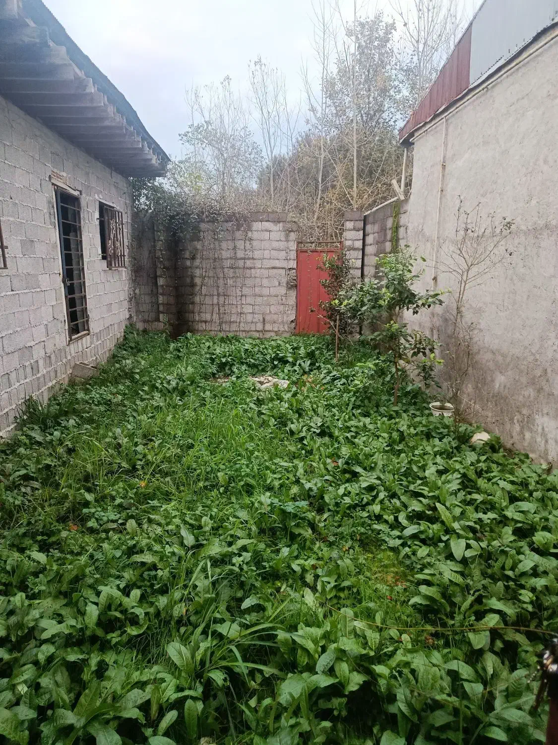 زمین. با ۸۰ متر بنا نیمه ساز در محله بیجار بنه رشت|فروش خانه و ویلا|رشت, حومه رشت|دیوار