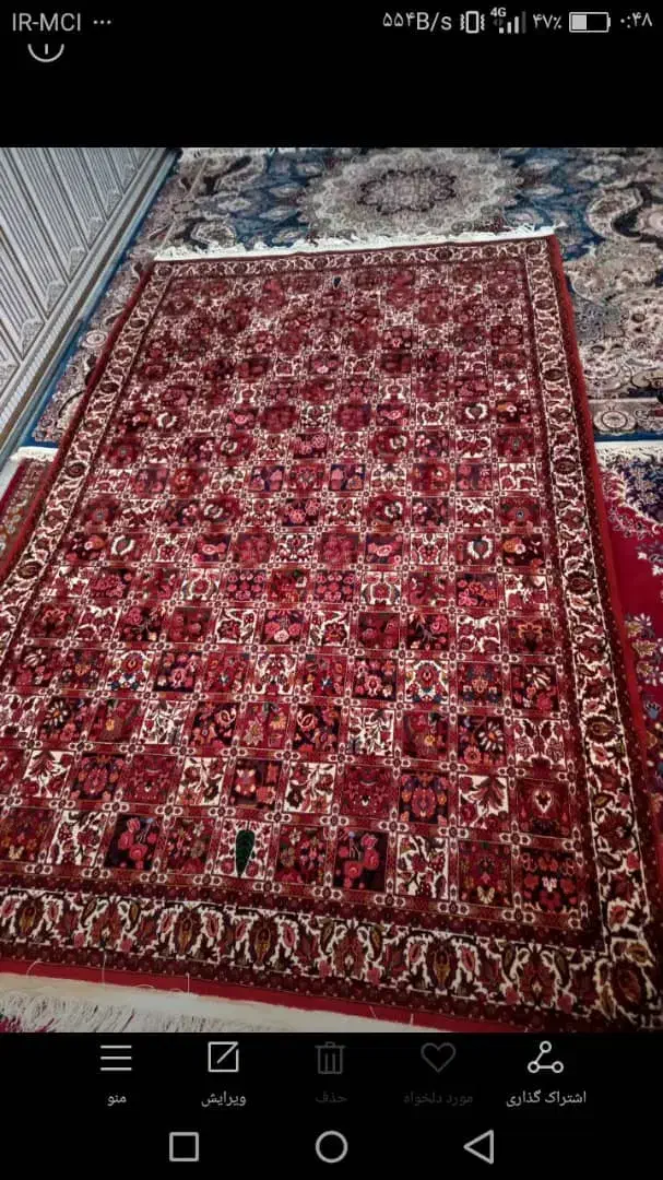 فرش دستبافت سنتی محلی کلکسیونی کلسیک|فرش|بندرعباس, |دیوار