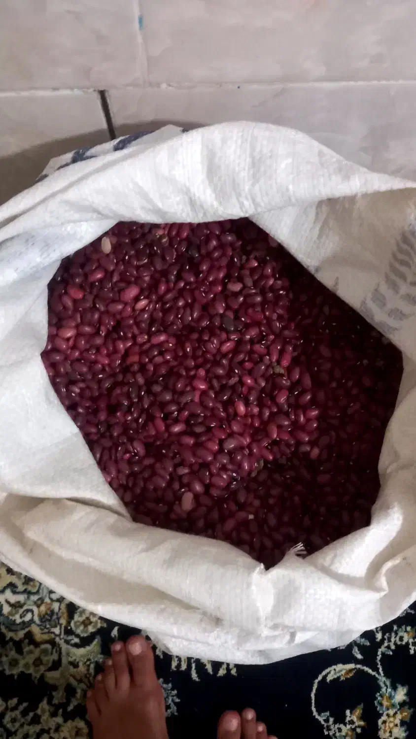 لوبیا قرمز|عمدهفروشی|بیرانوند, |دیوار