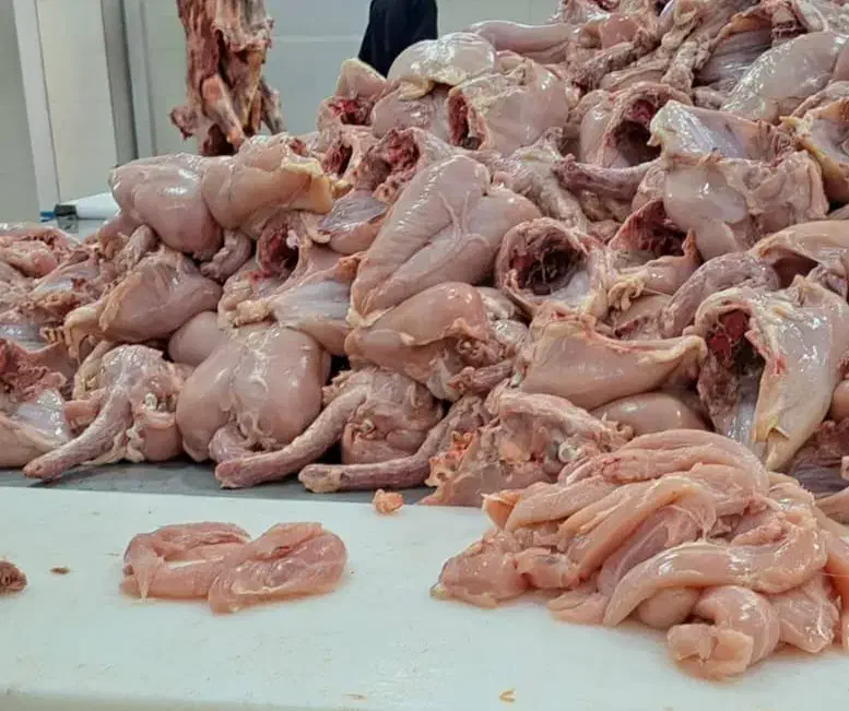 ران مرغ . ران و سردست گوساله|خدمات پذیرایی، مراسم|شیراز, شهرک صنعتی شیراز|دیوار