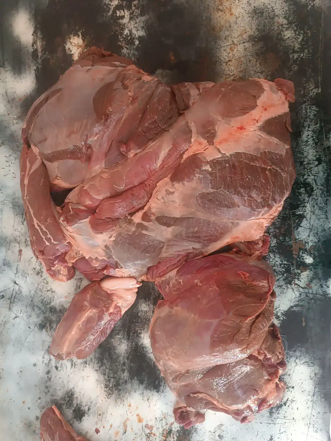 پخش گوشت گوساله تازه|عمده‌فروشی|ری, علایین|دیوار