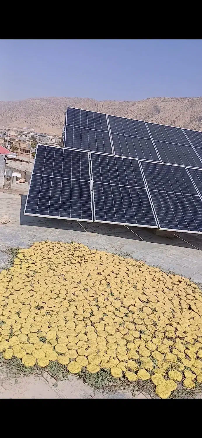 هیزه گوسفندی.سبزی خورشتیی و...|خوردنی و آشامیدنی|شباب, |دیوار