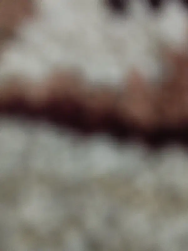 گمشده|اشیا|بومهن, |دیوار