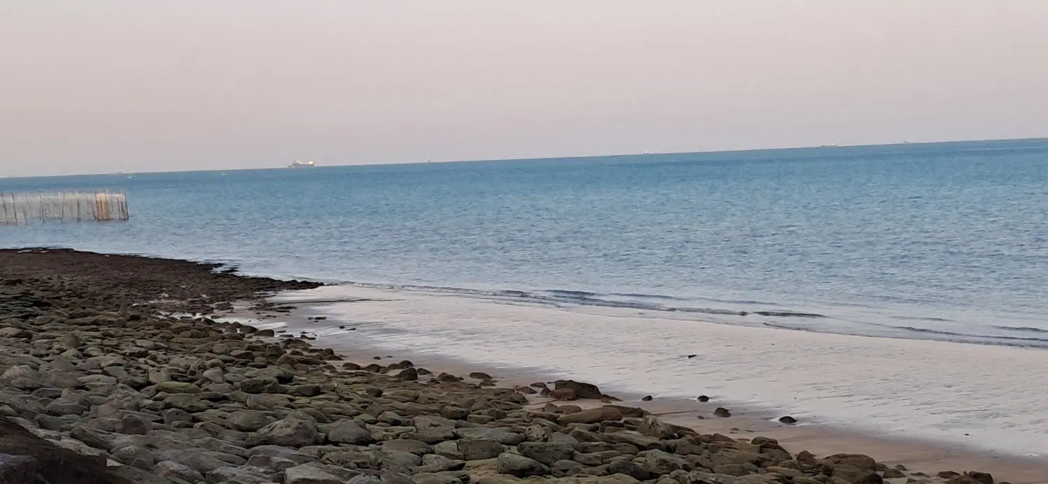 تصویر 12