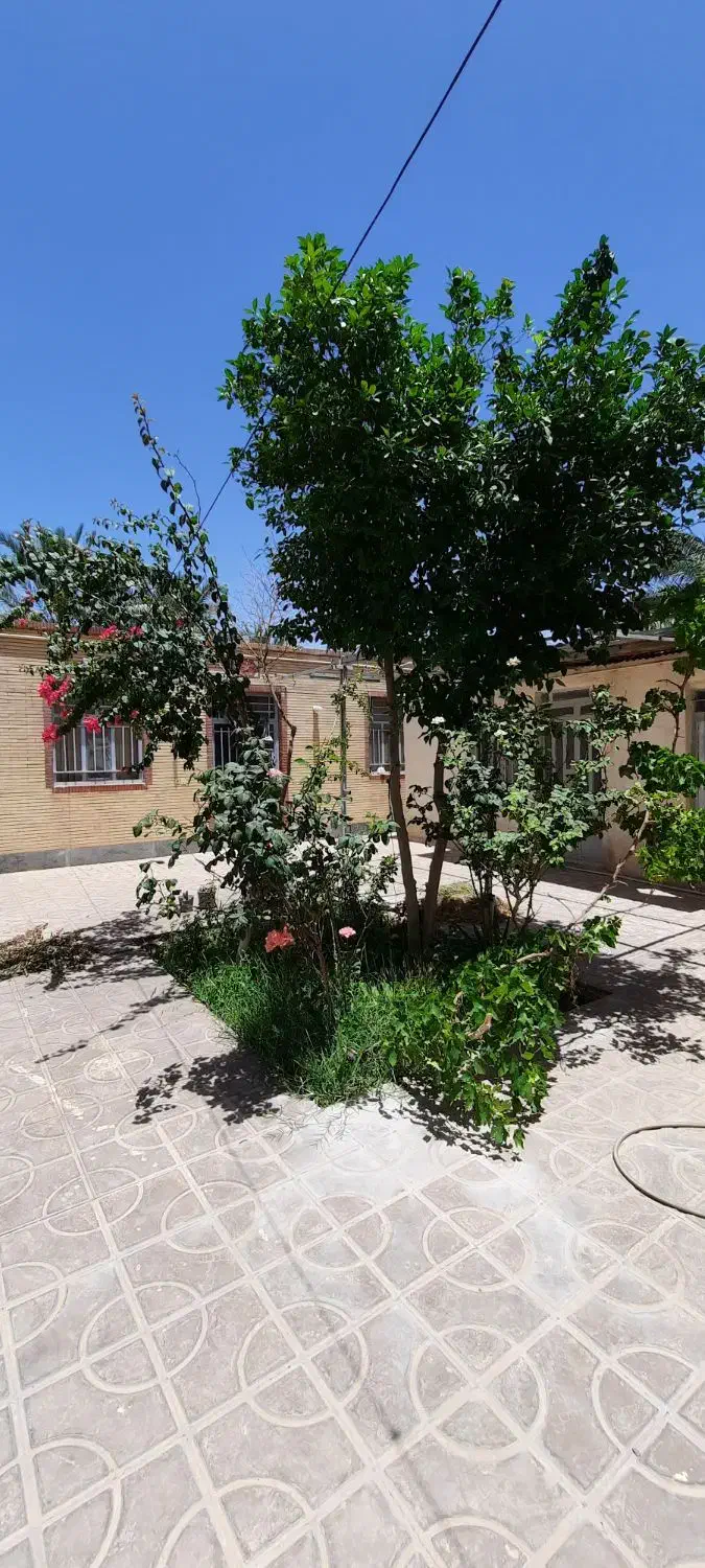 ویلایی ۲ خواب، ۵۲۶متر زمین میدان فرمانداری|فروش خانه و ویلا|بم, |دیوار