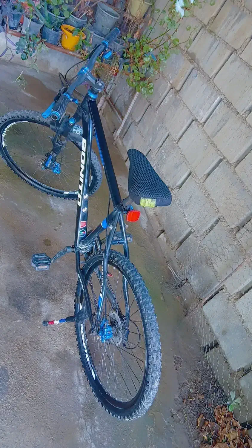 دوچرخه26|دوچرخه، اسکیت، اسکوتر|گنبد کاووس, |دیوار