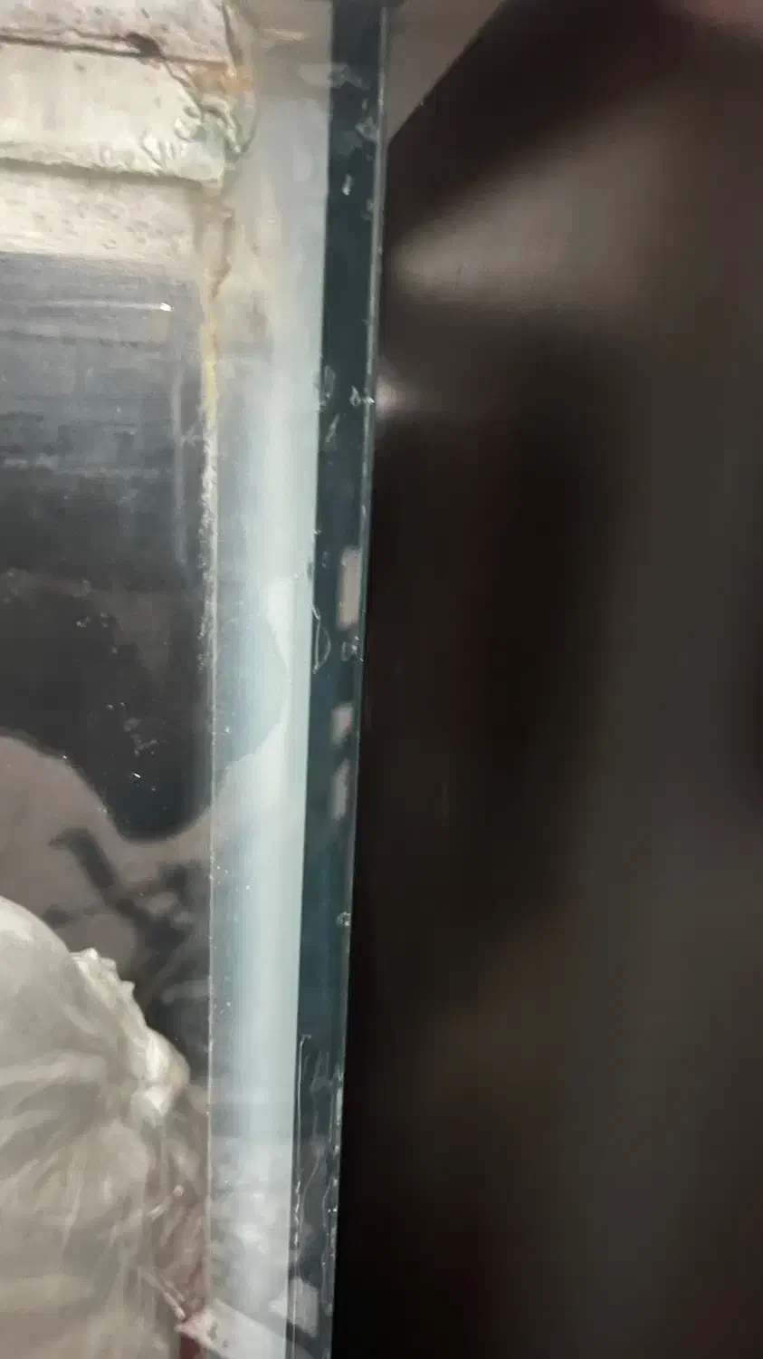 آکواریوم|ماهی|قم, زنبیل آباد|دیوار