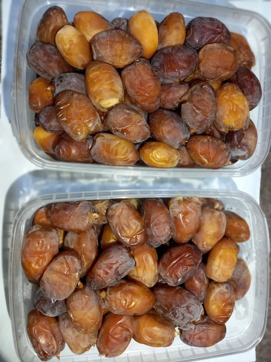 خرما و رطب کبکاب|خوردنی و آشامیدنی|تهران, حر|دیوار