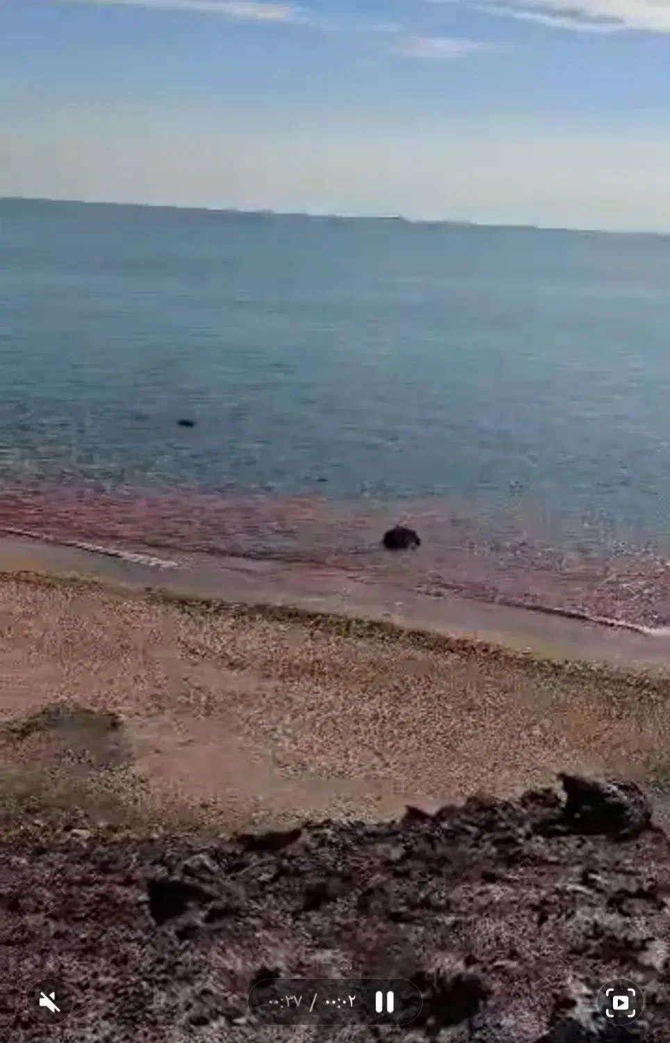 تور|تور و چارتر|شیراز, شهرک بهار|دیوار