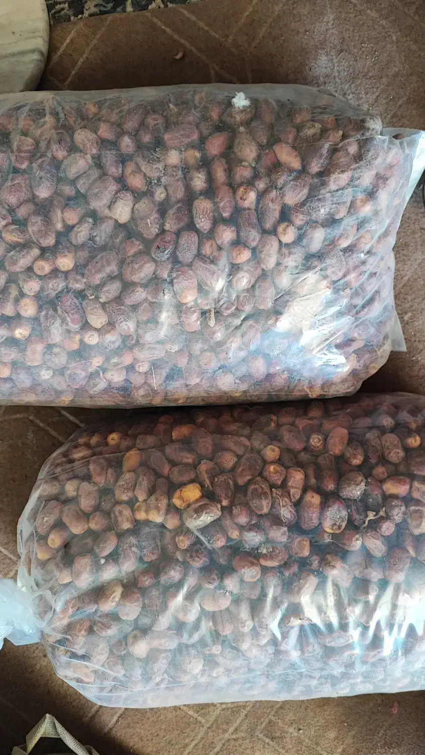 قصب|خوردنی و آشامیدنی|برازجان, |دیوار