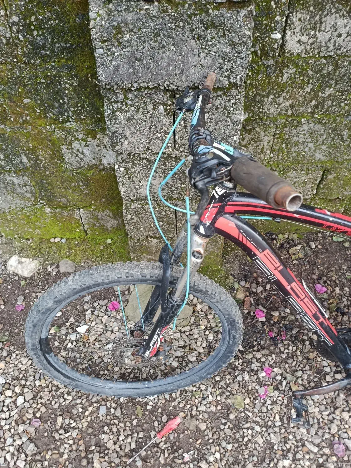 دوچرخه فروشی|دوچرخه، اسکیت، اسکوتر|سلمانشهر, |دیوار