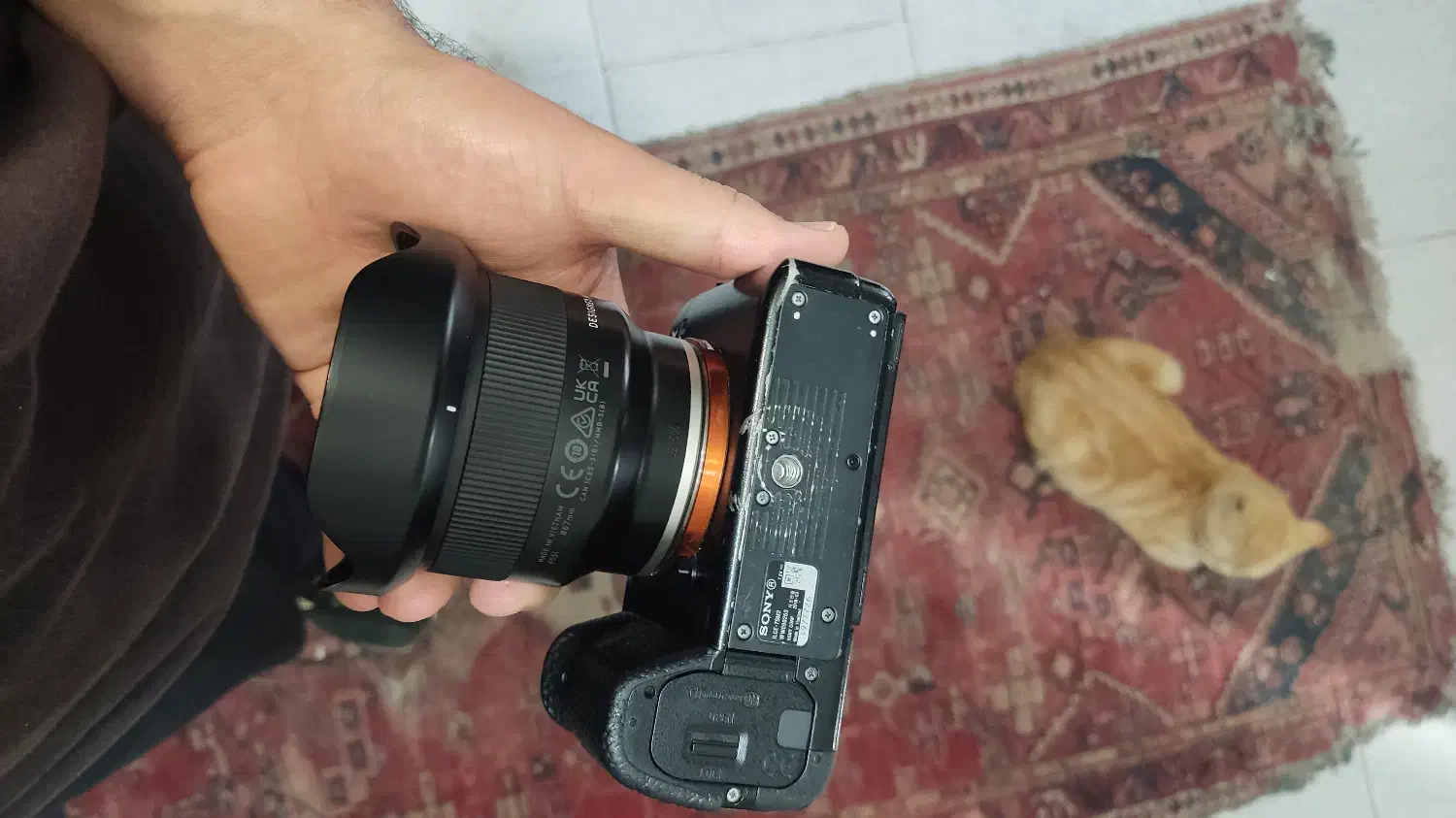 الفا سون اس ۲ مارک دوSony alpha 7sii a7 a7iii a7s|دوربین عکاسی و فیلمبرداری|تهران, امیرآباد|دیوار