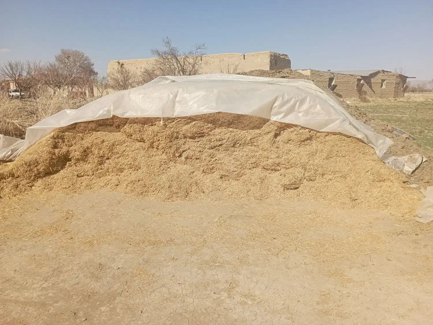 کاه گندم|حراج|گلپایگان, |دیوار