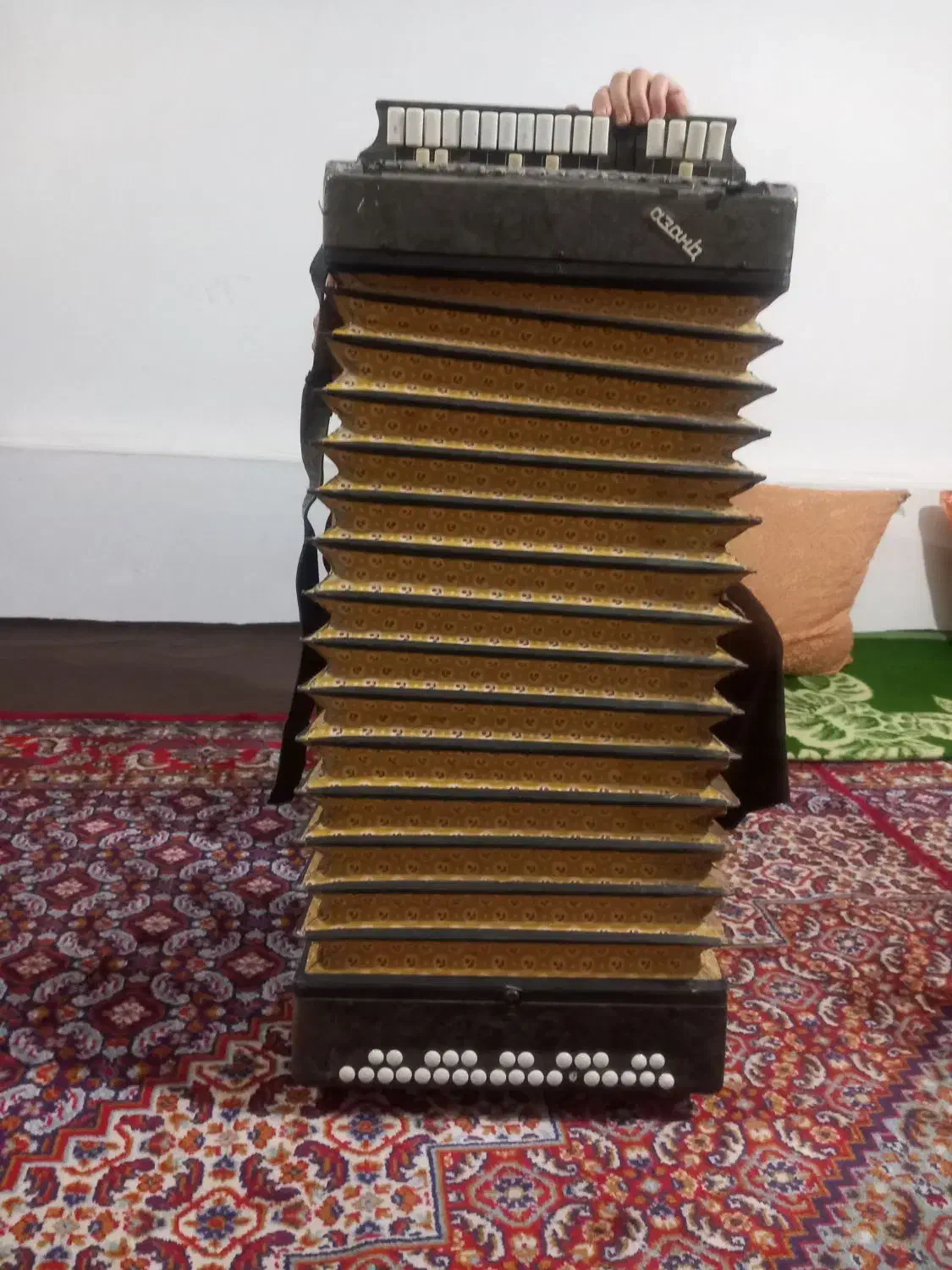 ویالون‌قدیمی|ویولن|شاهین دژ, |دیوار