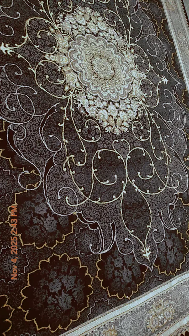 فرش 12 متری 700 شانه|فرش|اندیمشک, |دیوار