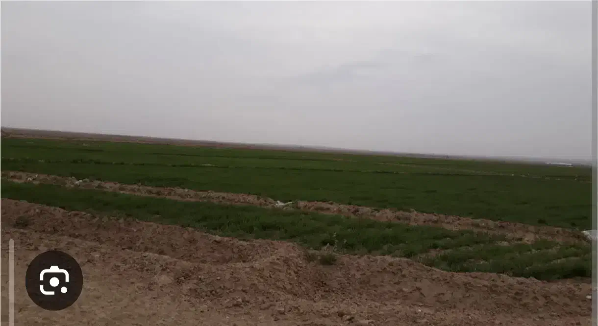 دوعدد زمین کشاورزی درمناطق رودباروبلوک اجاره وفروش|اجارهٔ دفتر صنعتی، کشاورزی، تجاری|رودبار (کرمان), |دیوار