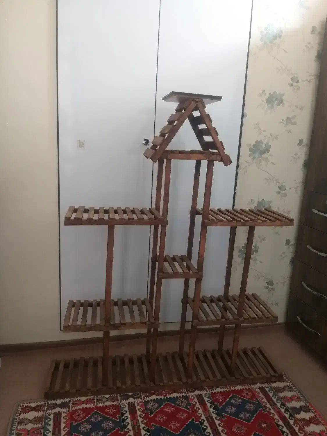 استند گل|گل و گیاه طبیعی|شیراز, کوشک میدان|دیوار