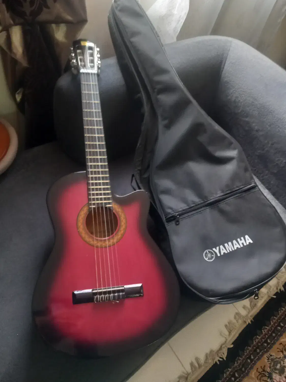 فروش گیتار وکیف گیتار|گیتار، بیس، امپلیفایر|قزوین, |دیوار