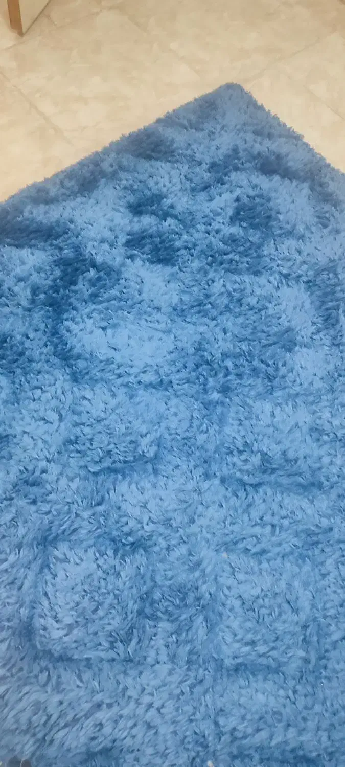 فرش|فرش|بندرعباس, |دیوار